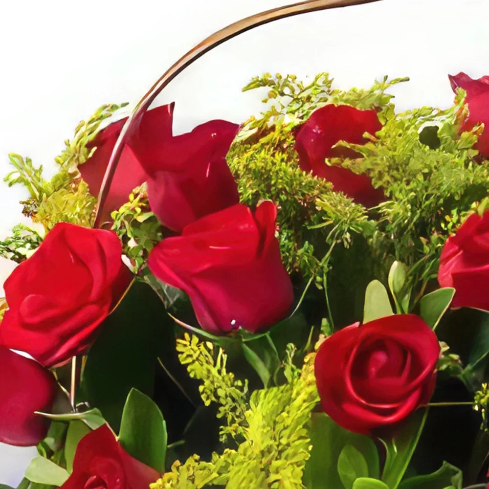 fortaleza kukat- Kori 28 punaisella ruusulla Kukka kukkakimppu