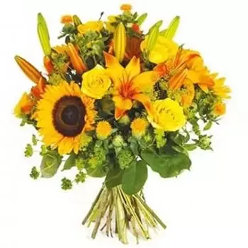 Frambouhans flowers  -  Bouquet of yellow flowers Sun Delivery