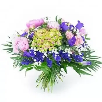 France flowers  -  Bouquet of flowers Sloe Delivery