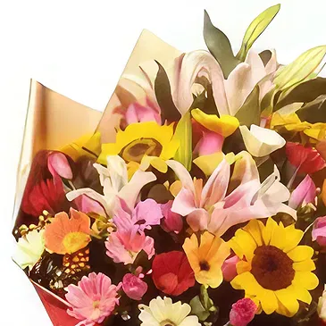 flores de Jones- Ava Bouquet/arranjo de flor