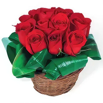 France flowers  -  Bouquet of red roses Brazilia Flower Delivery