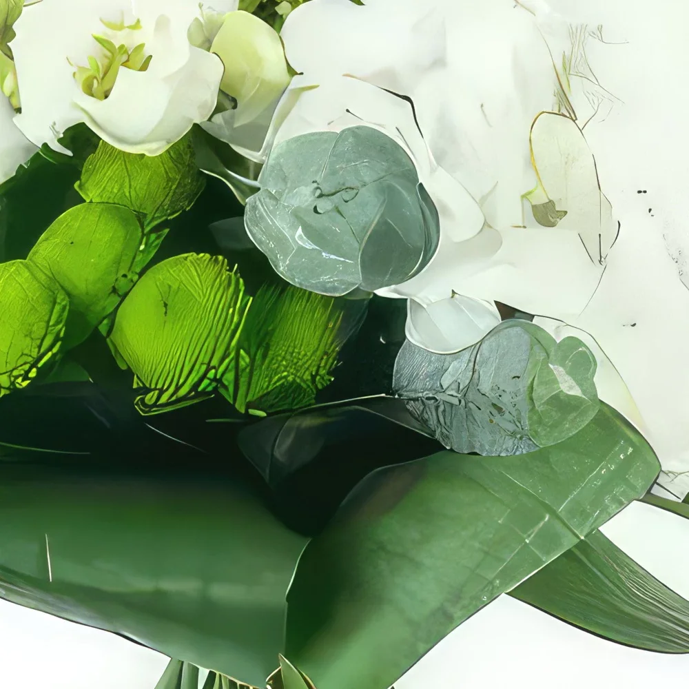 リヨン 花- 地味な白い花の花束 カストル 花束/フラワーアレンジメント