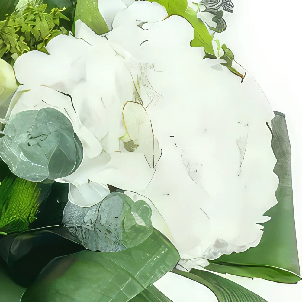 Miły kwiaty- Bukiet trzeźwych białych kwiatów Castres Bukiet ikiebana