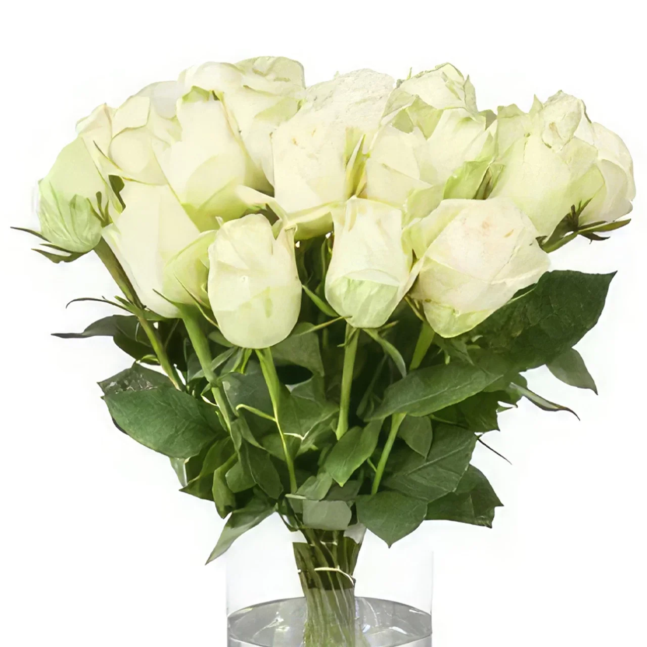 flores Groningen floristeria -  Ramo de rosas blancas Ramo de flores/arreglo floral
