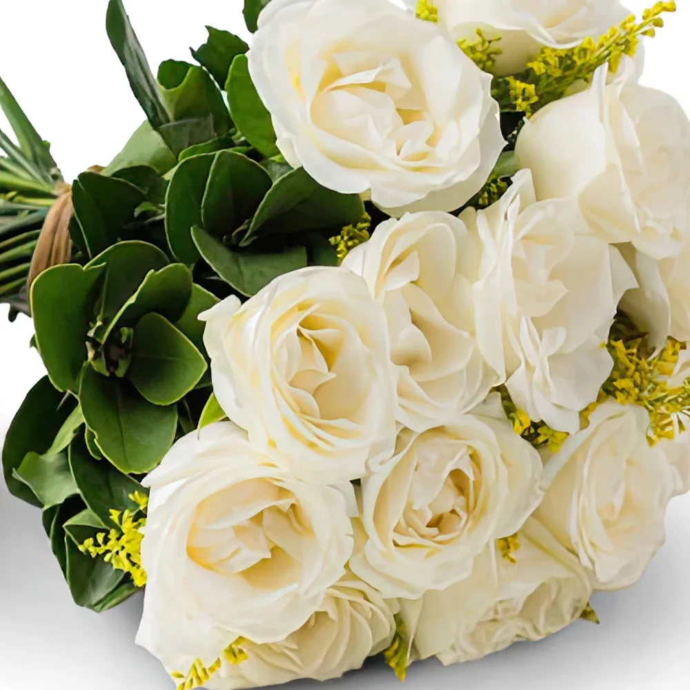벨루 오리 존치 꽃- 16개의 화이트 로즈와 스파클링 와인의 전통 꽃다발 꽃다발/꽃꽂이