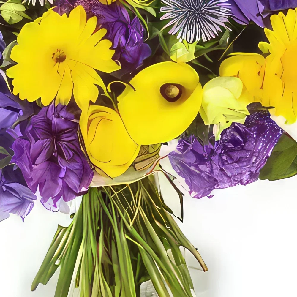 بائع زهور مونبلييه- باقة ازهار انطوان الصفراء والارجوانية باقة الزهور