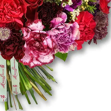 Garhoud flowers  -  Bouquet with Carnations and Red Roses Flower Bouquet/Arrangement
