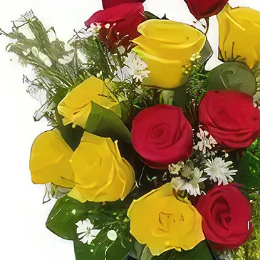 Ad Dilam blomster- 12 blandede roser Blomsterarrangementer bukett