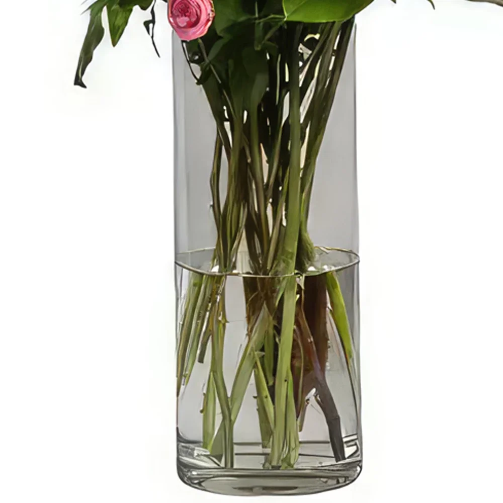 ヘレスデラフロンテラ 花- ラズベリーのタッチ 花束/フラワーアレンジメント