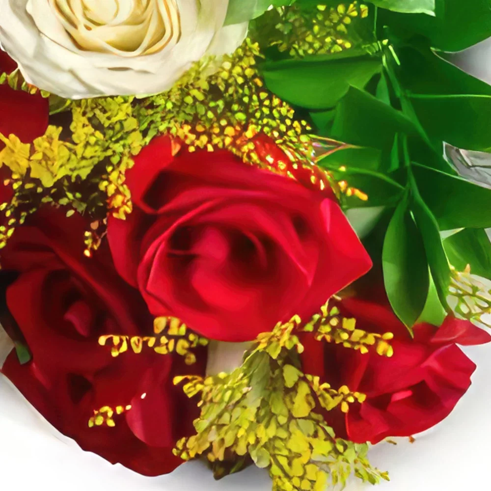 Σαλβαντόρ λουλούδια- Μπουκέτο από 10 λευκά και κόκκινα τριαντάφυλλ Μπουκέτο/ρύθμιση λουλουδιών