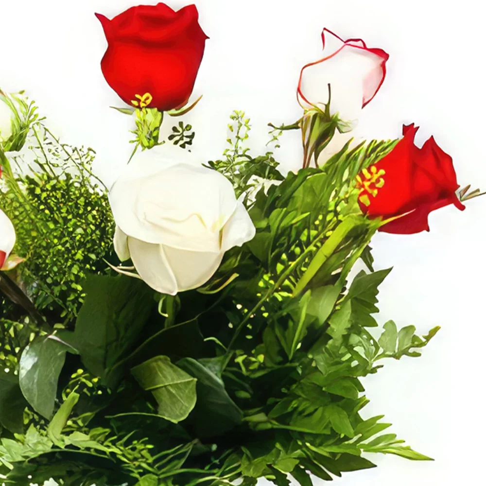 ヘレスデラフロンテラ 花- ヌエバ オーリンズ ブーケ 花束/フラワーアレンジメント