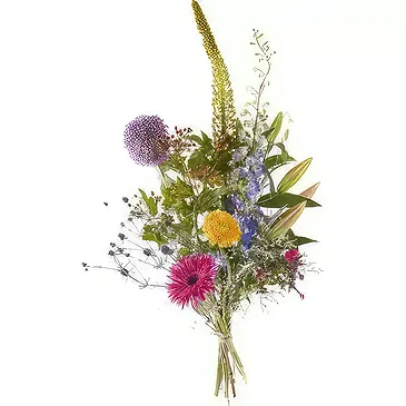 Vanlose flowers  -  Congratulation Flower Bouquet/Arrangement