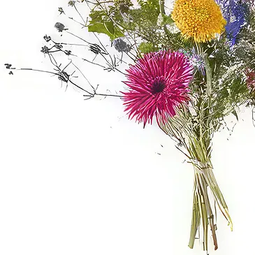 Vanlose flowers  -  Congratulation Flower Bouquet/Arrangement
