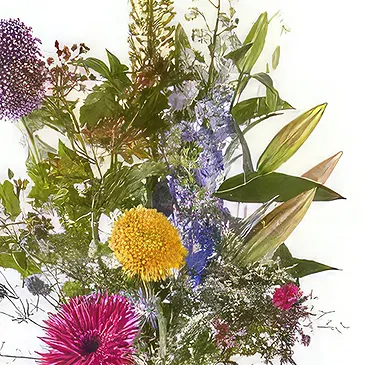Vanlose flowers  -  Congratulation Flower Bouquet/Arrangement