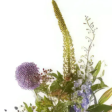 Vanlose flowers  -  Congratulation Flower Bouquet/Arrangement