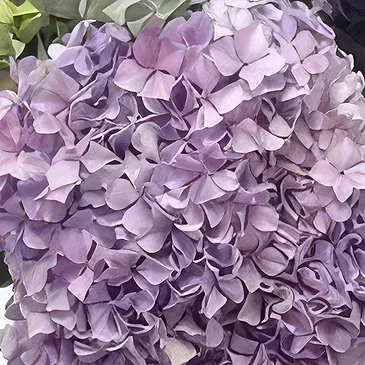 Ibiza flowers  -  Eternal Spring Flower Bouquet/Arrangement