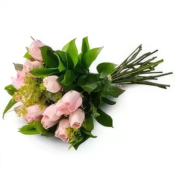 Brazil flowers  -  18 Pink Roses Bouquet Flower Delivery