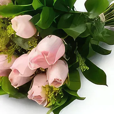 Chile flowers  -  18 Pink Roses Bouquet Flower Bouquet/Arrangement