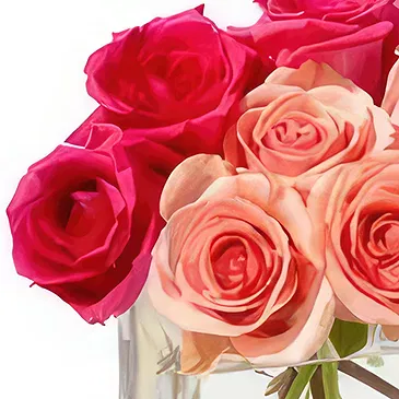 fiorista fiori di Bỉm Sơn- Le rose più rosse Bouquet floreale