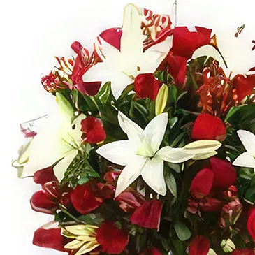 Ad Dilam blomster- Roser og liljer Blomsterarrangementer bukett