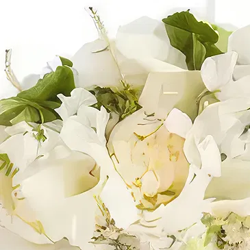 Cabo Balanco blommor- Ivory Romance Bukett/blomsterarrangemang