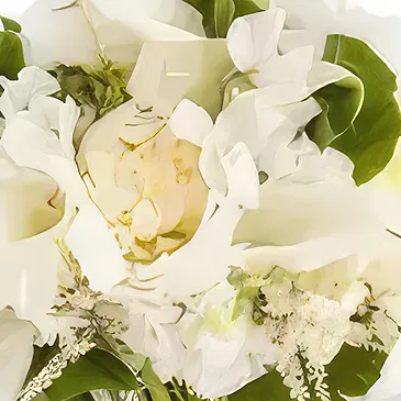 Cabo Balanco blommor- Ivory Romance Bukett/blomsterarrangemang