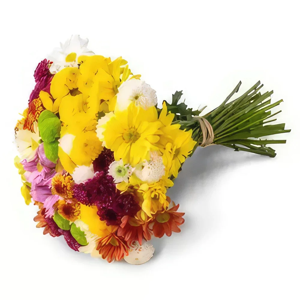 بائع زهور ساو باولو- باقة من الإقحوانات الملونة باقة الزهور