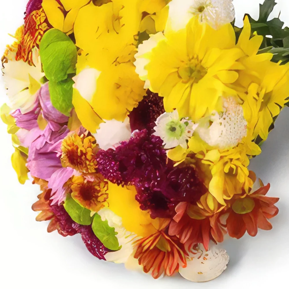 بائع زهور ساو باولو- باقة من الإقحوانات الملونة باقة الزهور