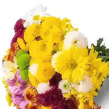 Brasilien Blumen Florist- Bouquet von bunten Gänseblümchen Bouquet/Blumenschmuck