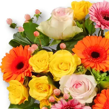 Holland flowers  -  Bouquet Happiness Flower Bouquet/Arrangement