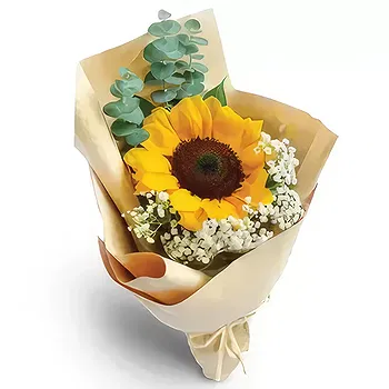 United Arab Emirates flowers  -  Bright Beginnings Flower Delivery