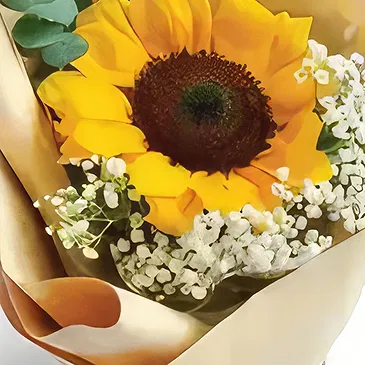 Garhoud flowers  -  Bright Beginnings Flower Bouquet/Arrangement