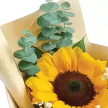 Garhoud flowers  -  Bright Beginnings Flower Bouquet/Arrangement