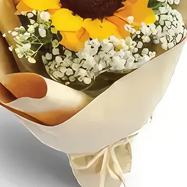 Garhoud flowers  -  Bright Beginnings Flower Bouquet/Arrangement