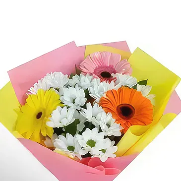 Brestovene Blumen Florist- Blütenblatt-Profis Bouquet/Blumenschmuck