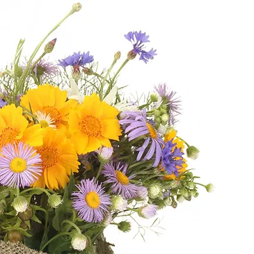 Vignone flowers  -  Composition of Daisy Plants Flower Bouquet/Arrangement