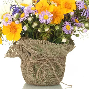 Vignone flowers  -  Composition of Daisy Plants Flower Bouquet/Arrangement