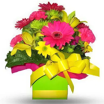Serbia flowers  -  Sunny Blossoms Flower Delivery
