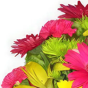 Smederevska Palanka flowers  -  Sunny Blossoms Flower Bouquet/Arrangement