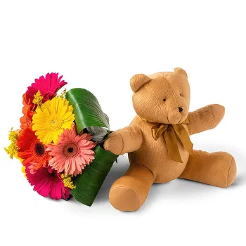 Brazil flowers  -  Bouquet of 8 Gerberas and Teddybear Delivery