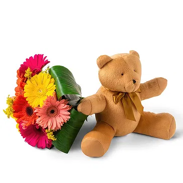 Santa Maria flowers  -  Bouquet of 8 Gerberas and Teddybear Flower Bouquet/Arrangement