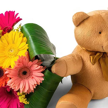 Santa Maria flowers  -  Bouquet of 8 Gerberas and Teddybear Flower Bouquet/Arrangement