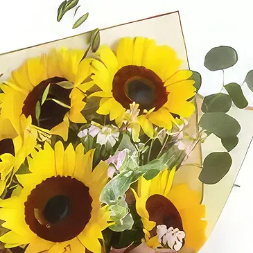 Garhoud flowers  -  Brighten My Day Flower Bouquet/Arrangement