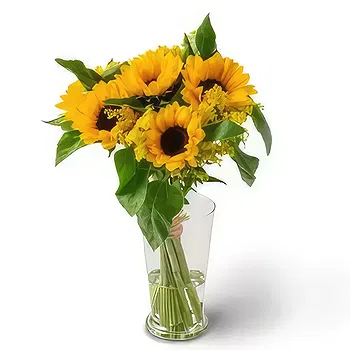 Brazil flowers  -  Potted Sunflowers Delivery