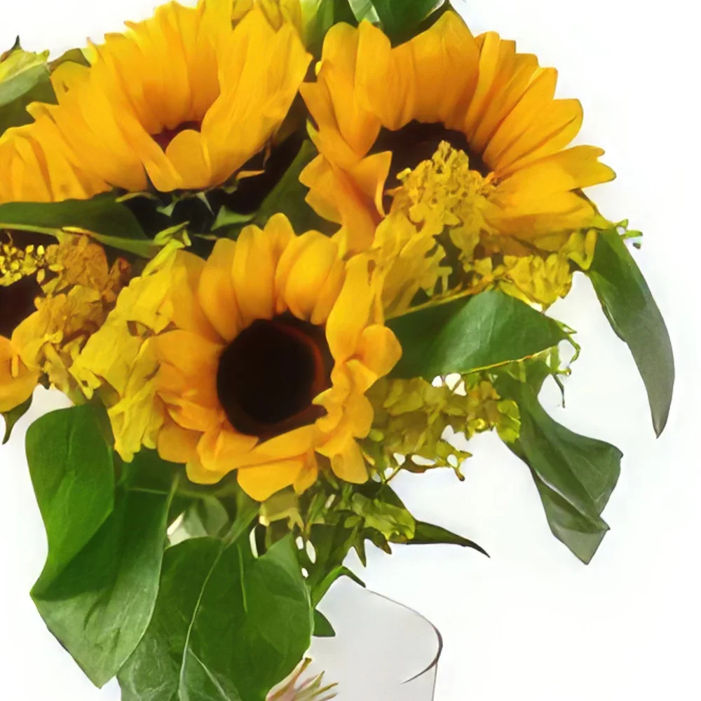 Σαλβαντόρ λουλούδια- Ηλιοτρόπια σε δοχείο Μπουκέτο/ρύθμιση λουλουδιών