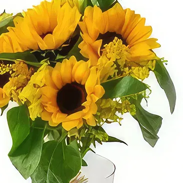 Chile flowers  -  Potted Sunflowers Flower Bouquet/Arrangement