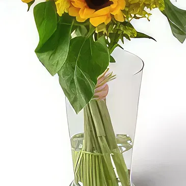 Chile flowers  -  Potted Sunflowers Flower Bouquet/Arrangement