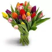 Baung online Blomsterhandler - Forårstid Buket