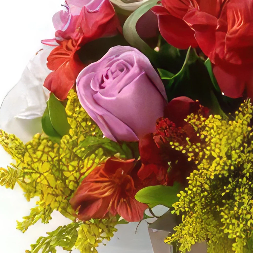 fiorista fiori di Recife- Disposizione bicolore di rose e astromelia Bouquet floreale