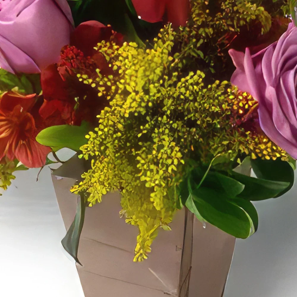 רסיפה פרחים- סידור בייקולור של ורדים וסטרומליה זר פרחים/סידור פרחים